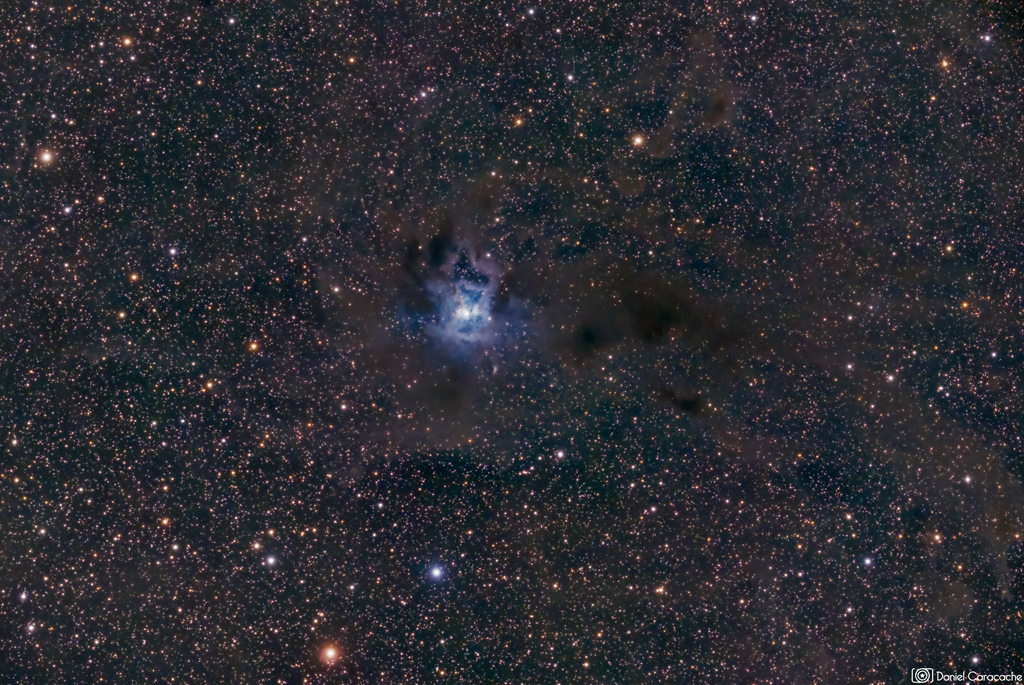 Daniel Caracache - Iris Nebula