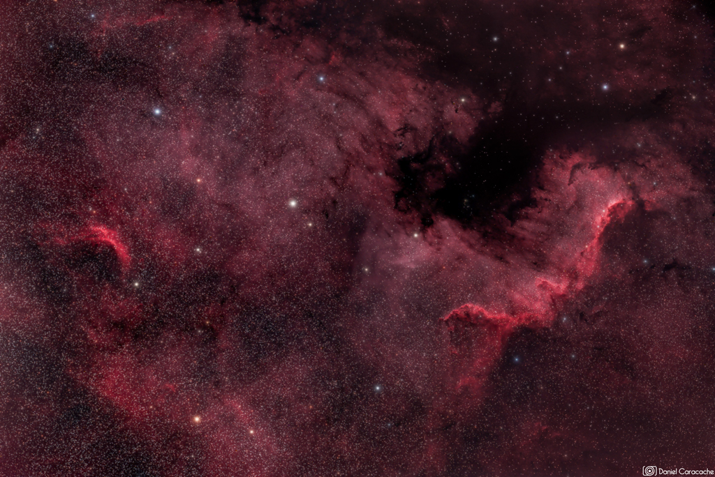 Daniel Caracache - North America Nebula